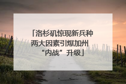 洛杉矶惊现新兵种 两大因素引爆加州“内战”升级