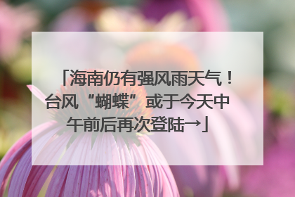 海南仍有强风雨天气！台风“蝴蝶”或于今天中午前后再次登陆→