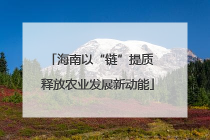 海南以“链”提质 释放农业发展新动能