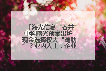 海光信息“吞并”中科曙光预案出炉 现金选择权太“鸡肋”？业内人士：企业不想大量现金流出