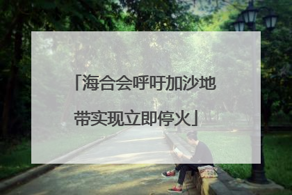 海合会呼吁加沙地带实现立即停火