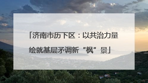 济南市历下区：以共治力量绘就基层矛调新“枫”景