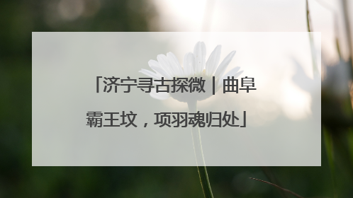 济宁寻古探微｜曲阜霸王坟，项羽魂归处
