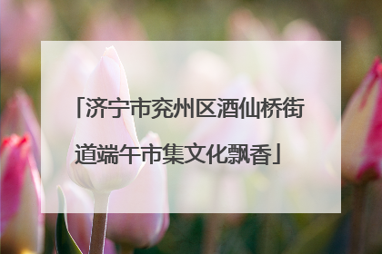 济宁市兖州区酒仙桥街道端午市集文化飘香