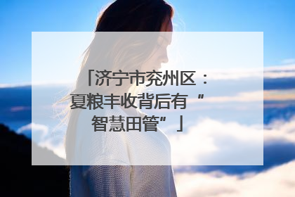济宁市兖州区：夏粮丰收背后有“智慧田管”
