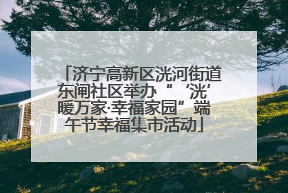 济宁高新区洸河街道东闸社区举办“‘洸’暖万家·幸福家园”端午节幸福集市活动