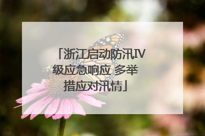浙江启动防汛Ⅳ级应急响应 多举措应对汛情