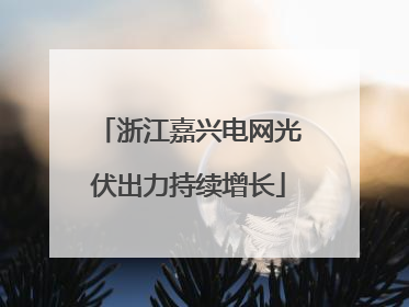 浙江嘉兴电网光伏出力持续增长