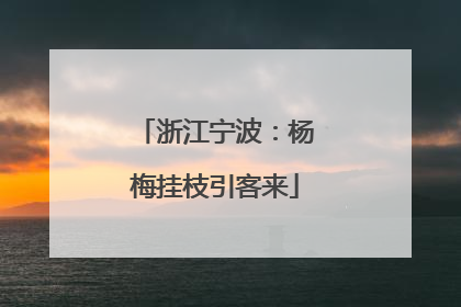 浙江宁波：杨梅挂枝引客来