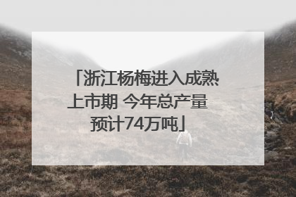 浙江杨梅进入成熟上市期 今年总产量预计74万吨