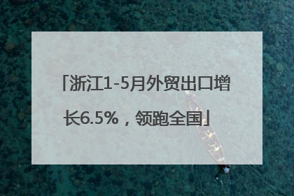 浙江1-5月外贸出口增长6.5%，领跑全国