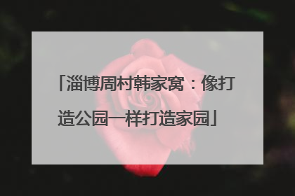 淄博周村韩家窝：像打造公园一样打造家园