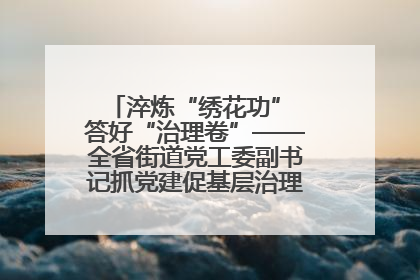淬炼“绣花功” 答好“治理卷”——全省街道党工委副书记抓党建促基层治理培训示范班侧记
