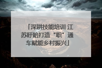 深耕技能培训 江苏盱眙打造“职”通车赋能乡村振兴