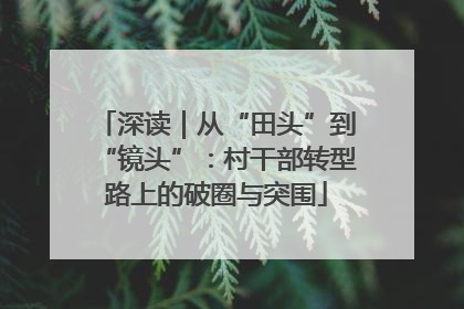 深读｜从“田头”到“镜头”：村干部转型路上的破圈与突围