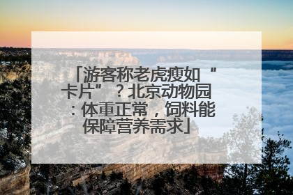 游客称老虎瘦如“卡片”？北京动物园：体重正常，饲料能保障营养需求
