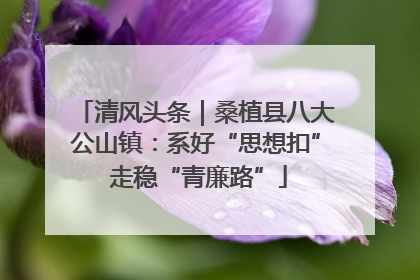 清风头条｜桑植县八大公山镇：系好“思想扣” 走稳“青廉路”
