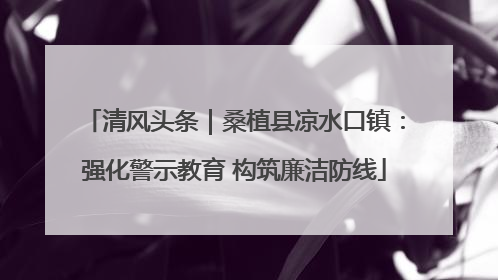 清风头条｜桑植县凉水口镇：强化警示教育 构筑廉洁防线
