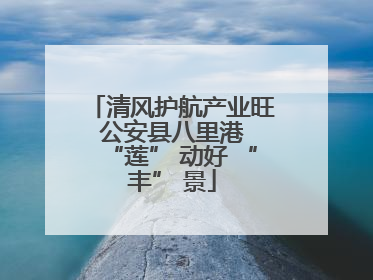 清风护航产业旺 公安县八里港 “莲” 动好 “丰” 景