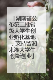 湖南省公布第二批省级大学生创业孵化基地，支持留湘来湘大学生创新创业