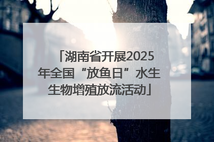 湖南省开展2025年全国“放鱼日”水生生物增殖放流活动