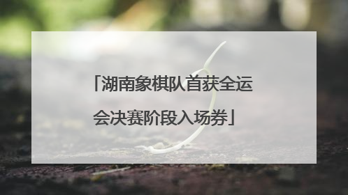 湖南象棋队首获全运会决赛阶段入场券