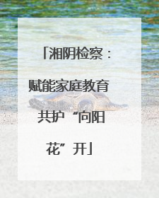 湘阴检察：赋能家庭教育 共护“向阳花”开