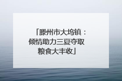 滕州市大坞镇：倾情助力三夏夺取粮食大丰收