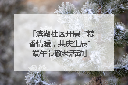滨湖社区开展“粽香情暖，共庆生辰”端午节敬老活动