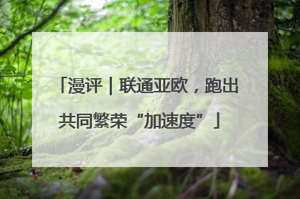 漫评｜联通亚欧，跑出共同繁荣“加速度”