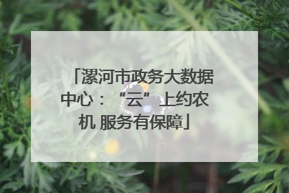 漯河市政务大数据中心：“云”上约农机 服务有保障