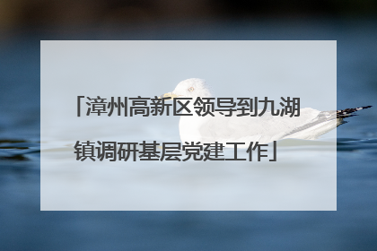 漳州高新区领导到九湖镇调研基层党建工作