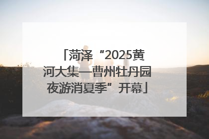 菏泽“2025黄河大集—曹州牡丹园夜游消夏季”开幕