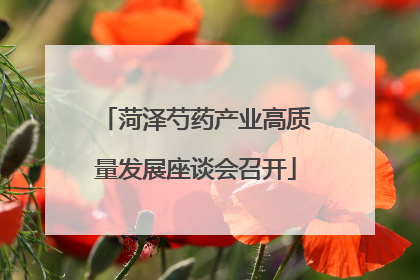 菏泽芍药产业高质量发展座谈会召开