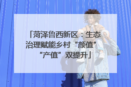 菏泽鲁西新区：生态治理赋能乡村“颜值”“产值”双提升