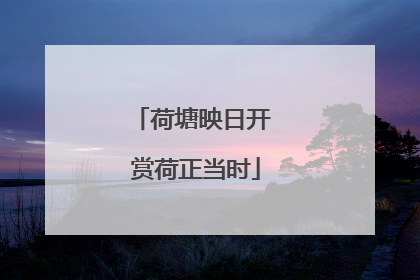 荷塘映日开 赏荷正当时