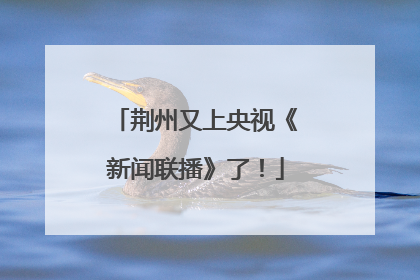 荆州又上央视《新闻联播》了！