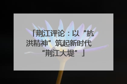 荆江评论：以“抗洪精神”筑起新时代“荆江大堤”