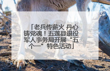 老兵传薪火 丹心铸党魂！五莲县退役军人事务局开展“五个一”特色活动
