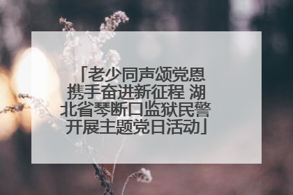 老少同声颂党恩 携手奋进新征程 湖北省琴断口监狱民警开展主题党日活动