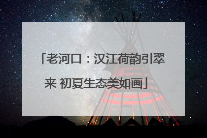 老河口：汉江荷韵引翠来 初夏生态美如画