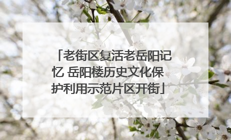 老街区复活老岳阳记忆 岳阳楼历史文化保护利用示范片区开街