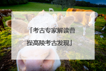 考古专家解读曹操高陵考古发现