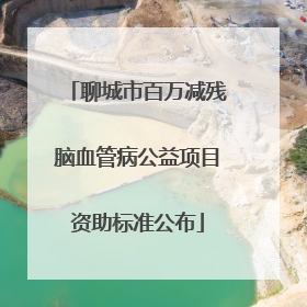 聊城市百万减残脑血管病公益项目资助标准公布
