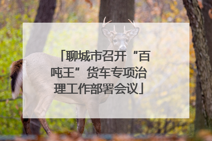 聊城市召开“百吨王”货车专项治理工作部署会议