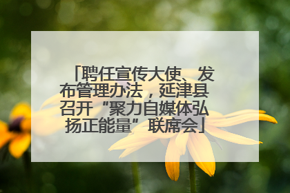 聘任宣传大使、发布管理办法，延津县召开“聚力自媒体弘扬正能量”联席会