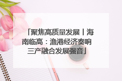 聚焦高质量发展丨海南临高：渔港经济奏响三产融合发展强音