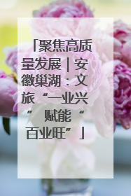 聚焦高质量发展｜安徽巢湖：文旅“一业兴” 赋能“百业旺”