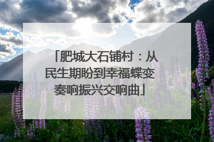 肥城大石铺村：从民生期盼到幸福蝶变奏响振兴交响曲