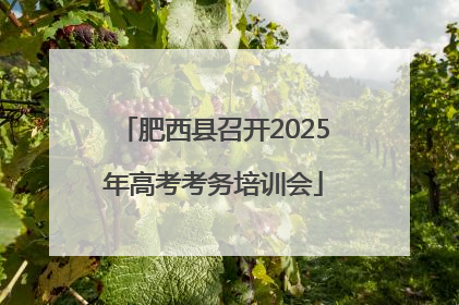 肥西县召开2025年高考考务培训会